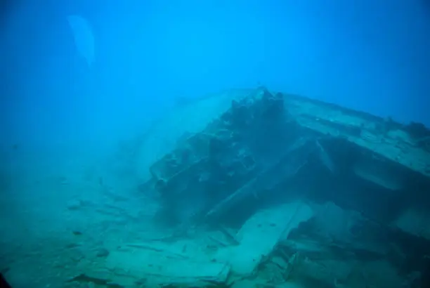 A group of fish swimming around a wrecked ship which is covered in sand