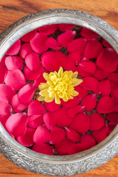 istock Indian Rose Petal Arrangement 1065775120