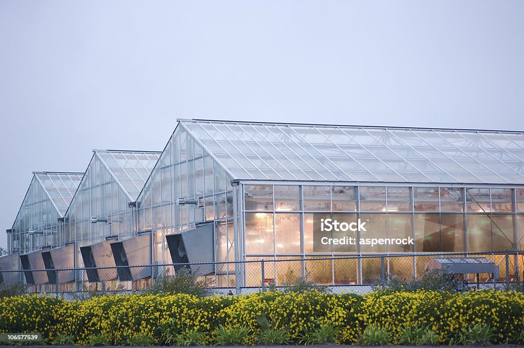 공업주 온실 in davis - 로열티 프리 University of California - Davis 스톡 사진