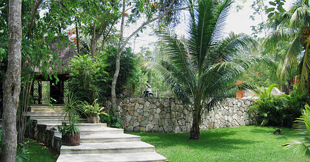 istock beautiful mexican style garden with stone path 106577649