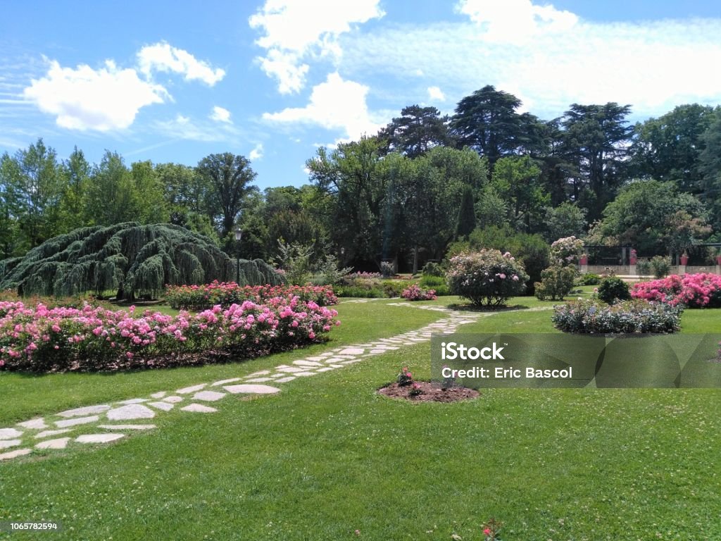 Lyon - Rose garden of the Parc de la Tête d'Or Rose garden of the Parc de la Tête d'Or in Lyon, roses, massifs, Lyon Stock Photo
