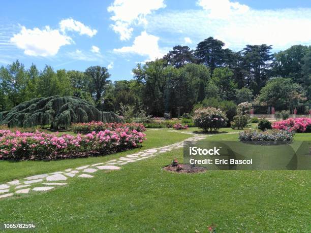 Lyon Rose Garden Of The Parc De La Tête Dor Stock Photo - Download Image Now - Lyon, Public Park, Outdoors