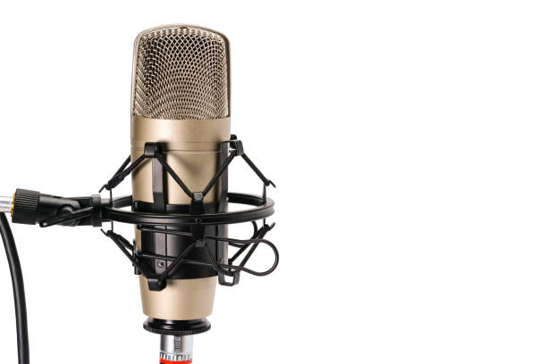 istock Professional studio condenser microphone installed in shock mount or spider, isolated on white background with copy space. 1065782902