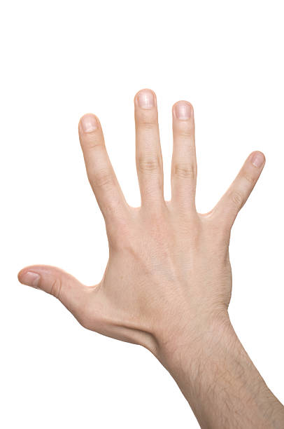 istock well shaped business man hand count 106578564