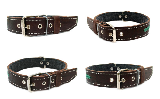 Animal collar set isolate on a white background
