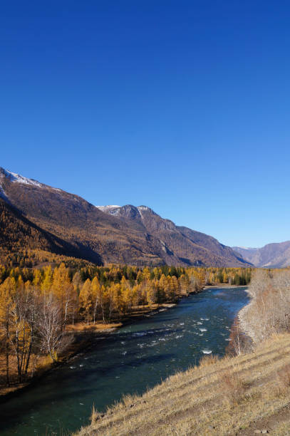 istock Beautiful view in autumn,Altai,Russia. 1065790168