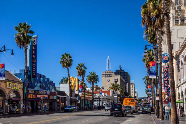 hollywood boulevard - hollywood in los angeles - usa - southern california palm tree beverly hills california california stock-fotos und bilder