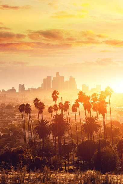 los angeles goldene stunde stadtbild über wolkenkratzern in der innenstadt - traffic street city of los angeles los angeles county stock-fotos und bilder