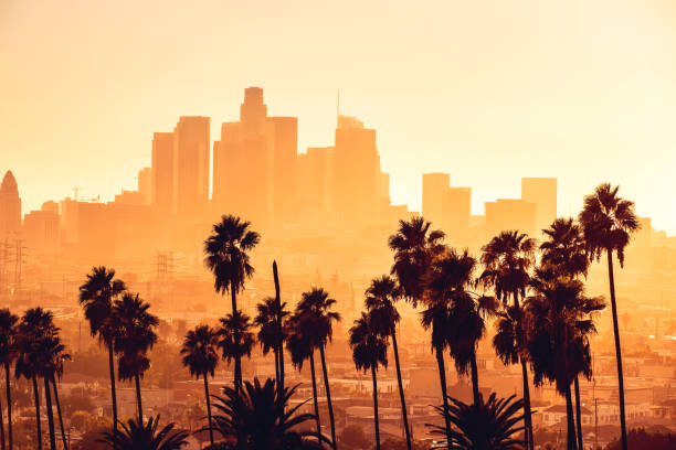 로스 앤젤레스 시내 고층 빌딩에 황금 시간 풍경 - los angeles county city of los angeles palm tree travel destinations 뉴스 사진 이미지