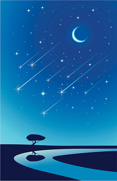meteor rain meteor rain on night sky star trail stock illustrations