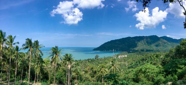 colina encantada em khanom - nakhon si thammarat - fotografias e filmes do acervo