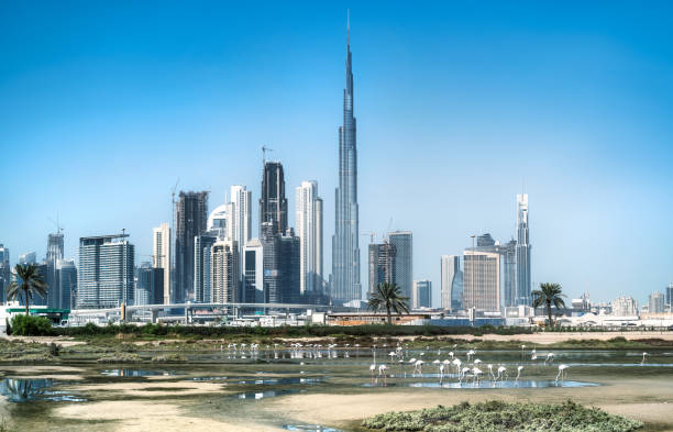 skyline de dubai panorama com burj khalifa - dubai cityscape burj khalifa awe - fotografias e filmes do acervo