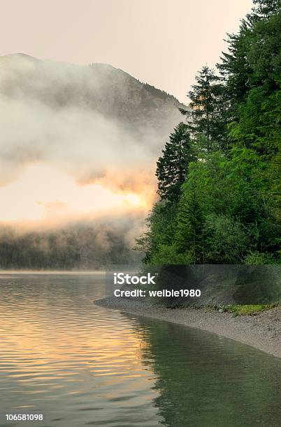 Morgen In Der Nähe Von Lake Plansee Stockfoto und mehr Bilder von Wald - Wald, Bundesland Tirol, Küste