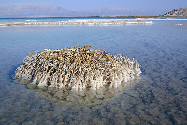 死海 - dead sea crystallization dark blue hydrochloric crystals ストックフォトと画像