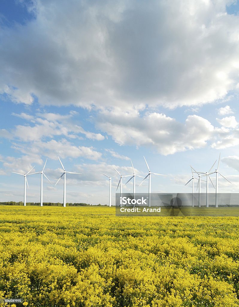 alternative energy - Lizenzfrei Agrarbetrieb Stock-Foto