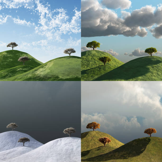 Lonely tree on green field. Photography in high resolution. 
