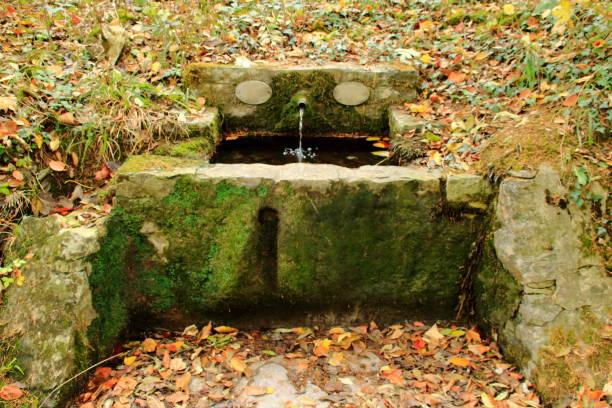 istock Stone fountain in a forest in the Stromberg 1065832082