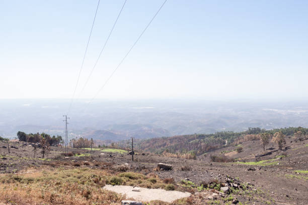 istock View from the mountain in the Monchique Mountains 1065832240