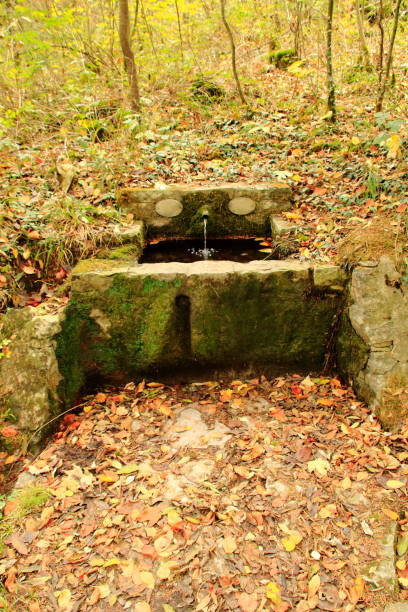 istock Stone fountain in a forest in the Stromberg 1065832388