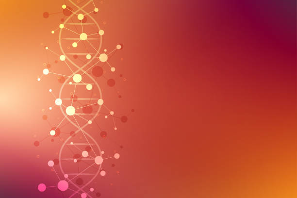 dna 가닥 하 고 분자 구조입니다. 유전 공학 또는 실험실 연구입니다. 의료 또는 과학 및 기술 설계를 위한 배경 텍스처. 벡터 일러스트입니다. - abstract dna cell multi colored stock illustrations