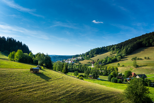 Germany, Rural black forest countryside and houses of village Elzach