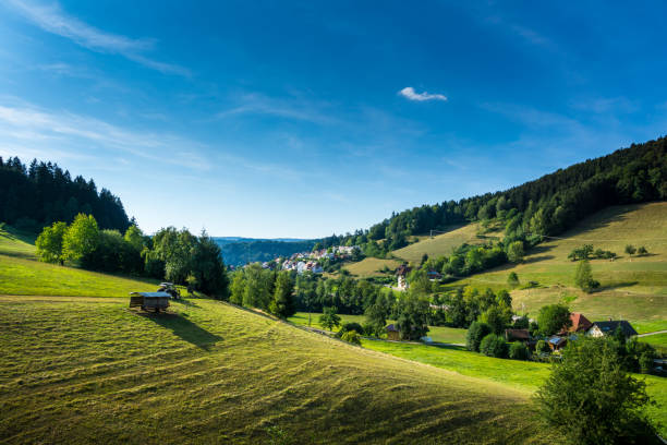 germany, rural black forest countryside and houses of village elzach - black forest landscape germany forest imagens e fotografias de stock