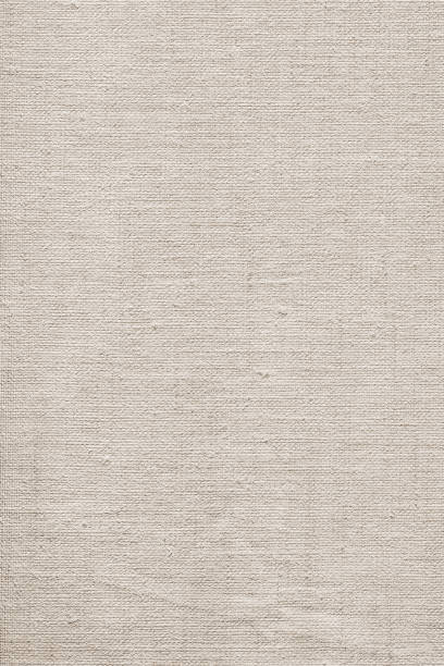 istock Artist's Coated Cotton Duck Coarse Grain Canvas Grunge Texture 1065838020