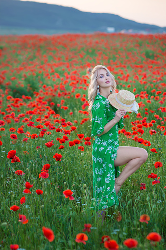 A handsome girl with long hair and natural skin, standing in a fiel of red poppies and holding a red poppy in hands, on nature landscape background. Horizontal view