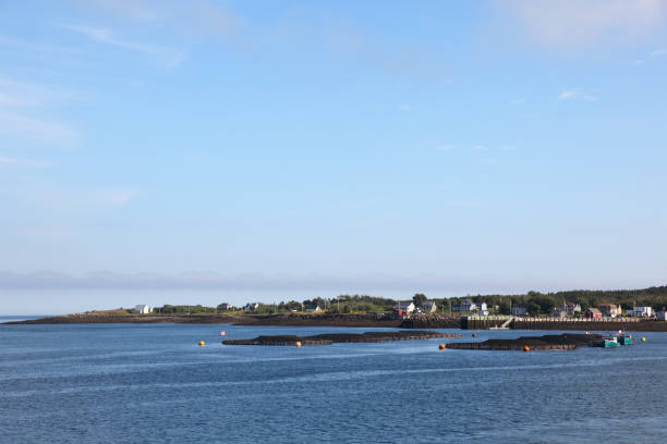 istock Salmon farming at Briar Island, Nova Scotia, Canada 1065840180
