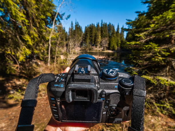 istock Photography in the forest 1065846840