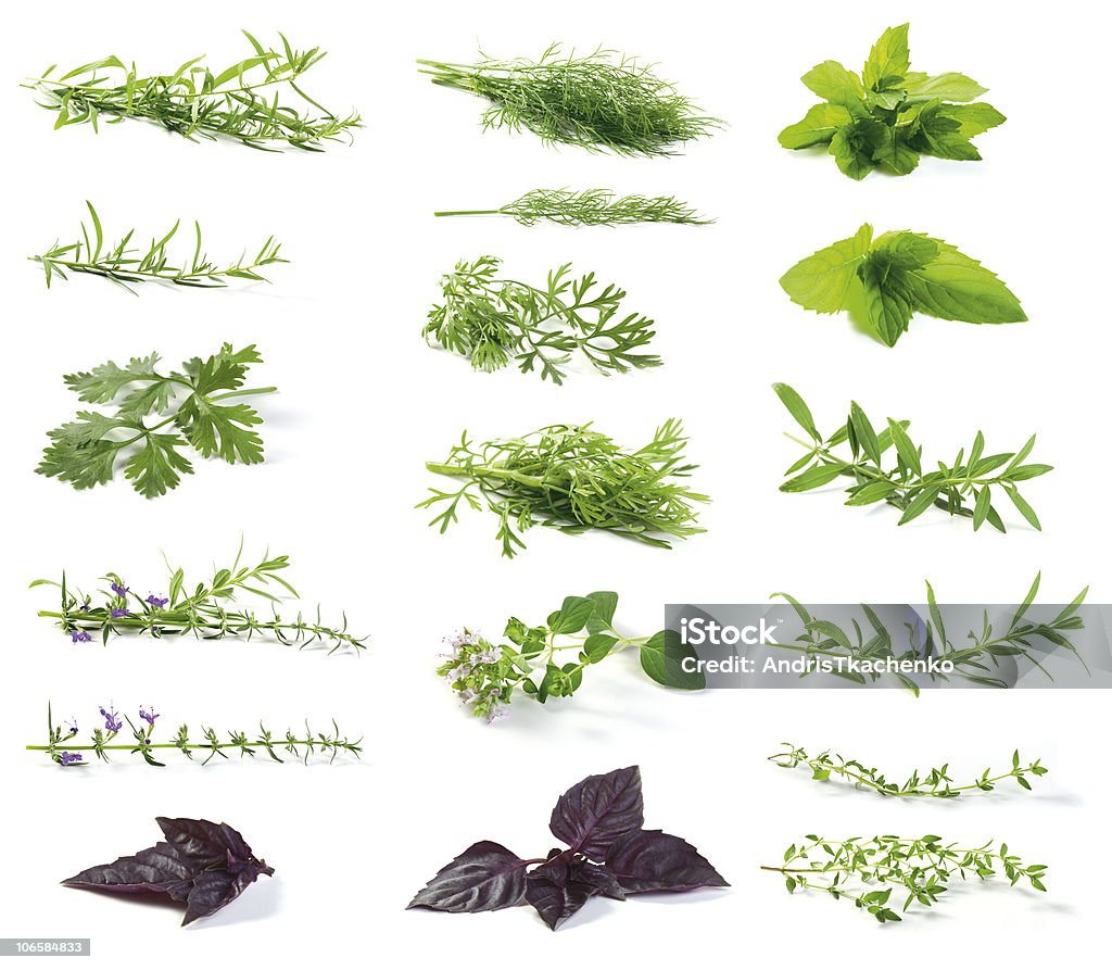 fresh herbs  Herbal Medicine Stock Photo