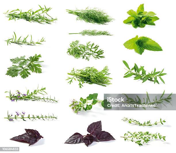 Fresh Herbs Stock Photo - Download Image Now - Herbal Medicine, White Background, Herb