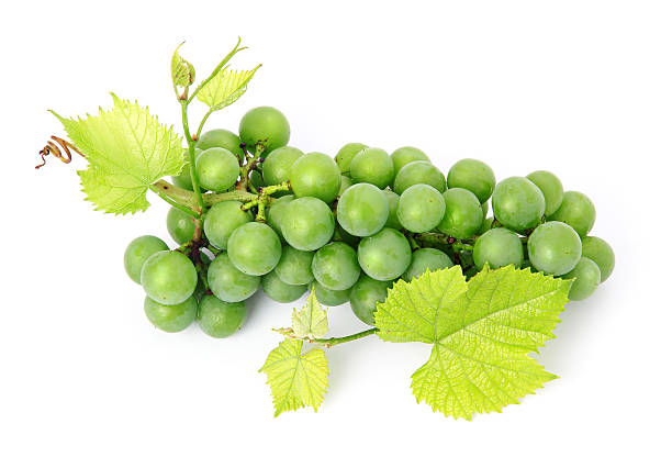 istock Fresh grape fruits with green leaves isolated 106584863