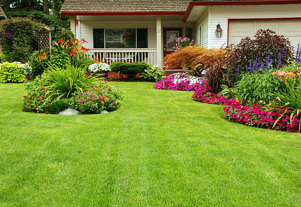 Manicured Yard A finely manicured yard shows its summer colours. perennial photos stock pictures, royalty-free photos & images