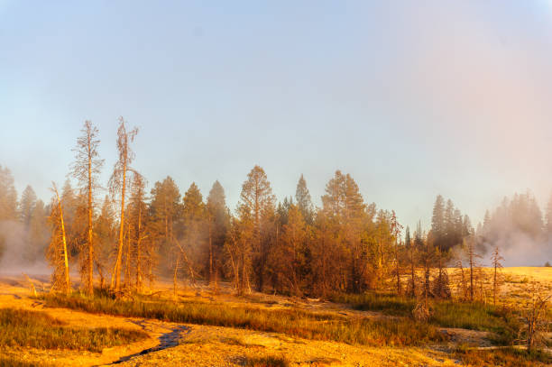 istock Sunrise in West Thumb 1065854278