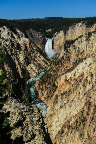 istock Lower Falls of the Yellowstone 1065856876