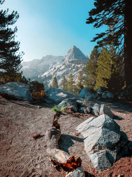 Log and Rock in the foreground and a mountain range against a blue sky in the background, surrounded by trees.