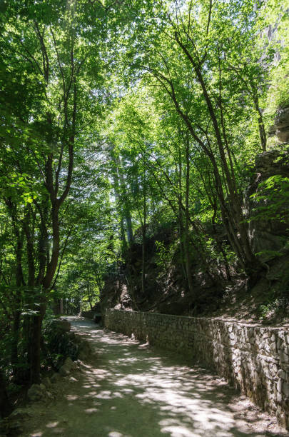 istock Footpath on a wooded mountainside 1065858936