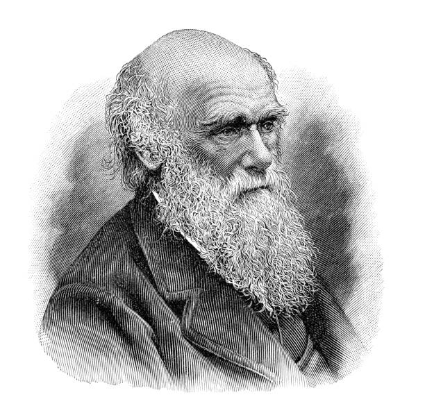 illustrations, cliparts, dessins animés et icônes de illustration de portrait de charles darwin - charles darwin engraved image old fashioned etching