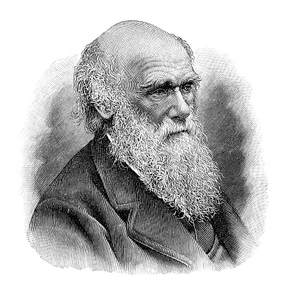 Steel engraving of naturalist Charles Darwin
Original edition from my own archives
Source : Meyers Konversations Lexikon 6.Auflage 1903