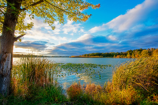 Panoramic view of Bertha Lake in Waterton Lakes National Park, Alberta, Canada