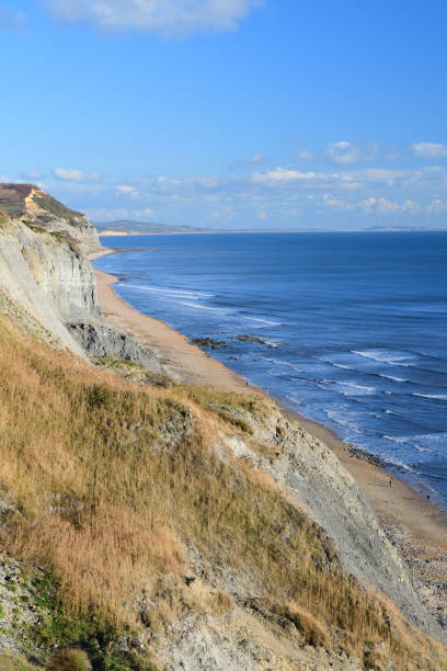 istock Jurassic coast in Dorset 1065863288