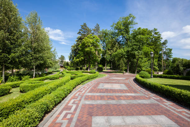 istock Summer green city park at sunny day 1065863706