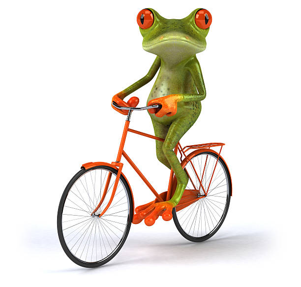 rana su una bicicletta - frog three dimensional shape animal green foto e immagini stock