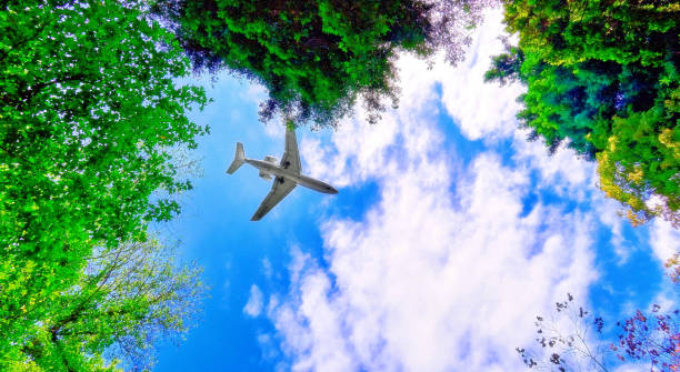 istock Vibrant wide angle view of aircraft flight in blue cloudy sky 1065874380