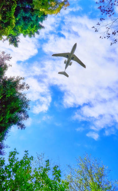 istock Vibrant wide angle view of aircraft flight in blue cloudy sky 1065874432
