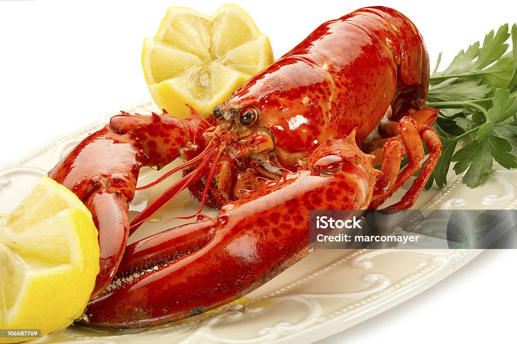 A lobster with lemon ready to eat whole boiled  lobster on white background Animal Stock Photo