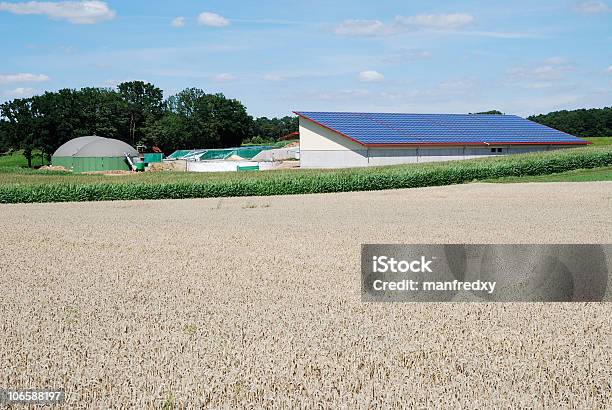 Energia Verde - Fotografie stock e altre immagini di Biogas - Biogas, Pannello solare, Agricoltura