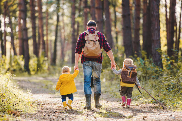 widok z tyłu ojca z małymi dziećmi spaceru w jesiennym lesie. - family walking child toddler zdjęcia i obrazy z banku zdjęć