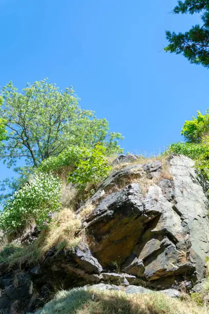 Scenic mountain landscape with rugged rocks and fresh green spring trees under a sunny clear blue sky